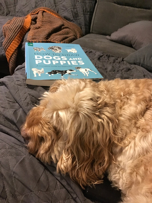 My dog Peaches snoozing next to the book